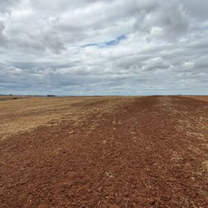 2.400 ha em Cachoeira do Sul, simplesmente fantástica!