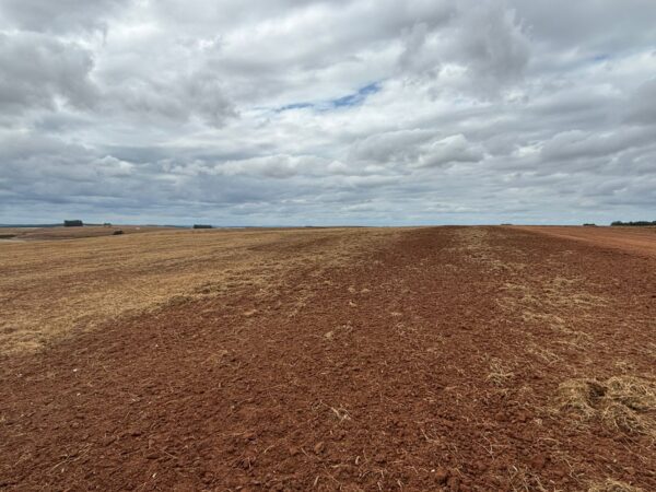 2.400 ha em Cachoeira do Sul, simplesmente fantástica!